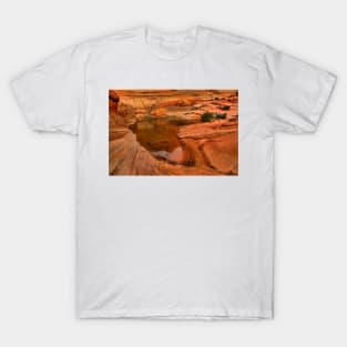 Northern Arizona Desert Oasis T-Shirt